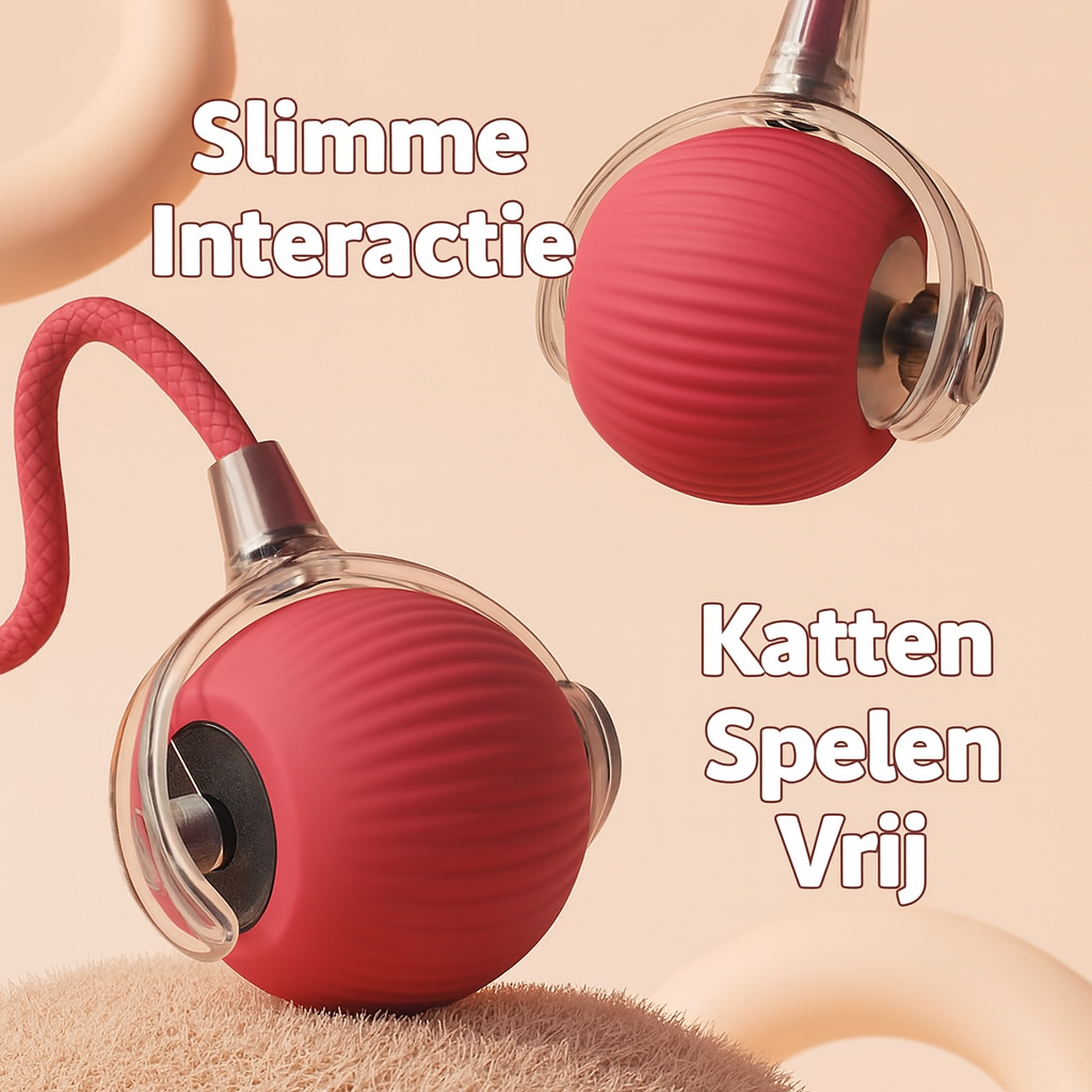 Kattenbal Met Intelligentie