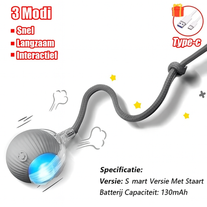 Kattenbal Met Intelligentie